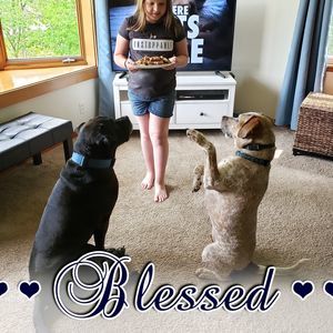 Meet your Posher, Karen